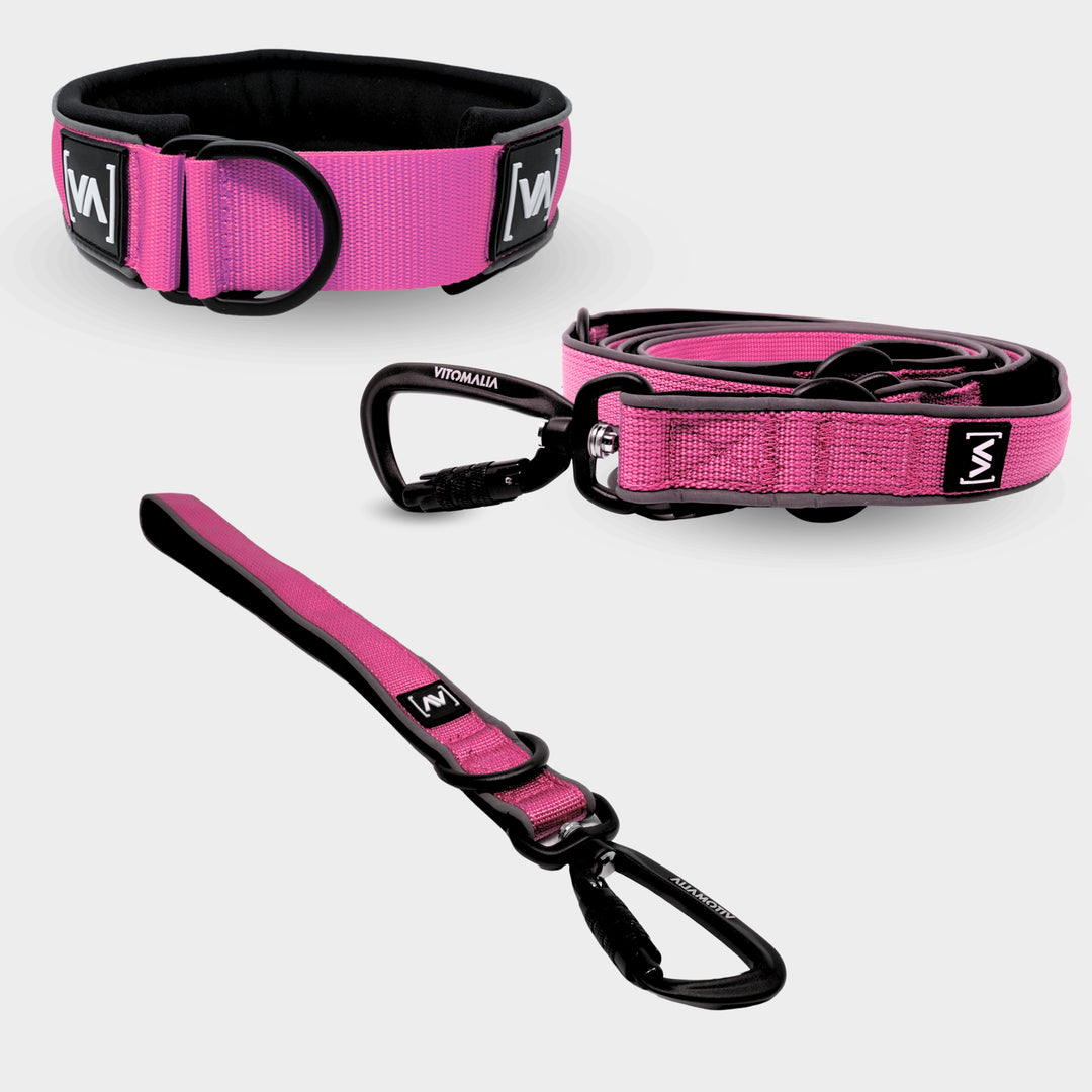 Bundle Easy Go Edition Pink Set - collar pull stop + Correa corta + Correa para perro