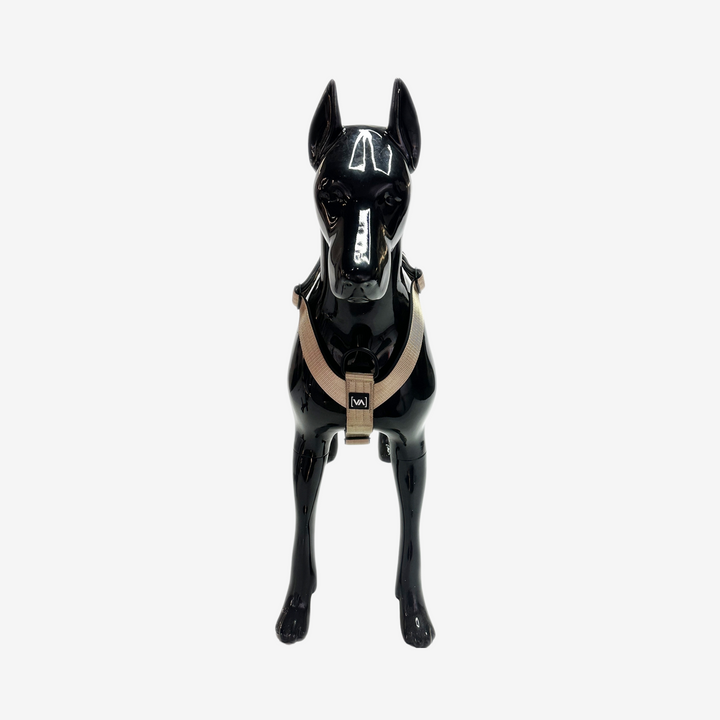 Klassisches Y-Hundegeschirr mit abstehender Innenfütterung - Nero Beige - Vitomalia - Classic Edition Hundegeschirr