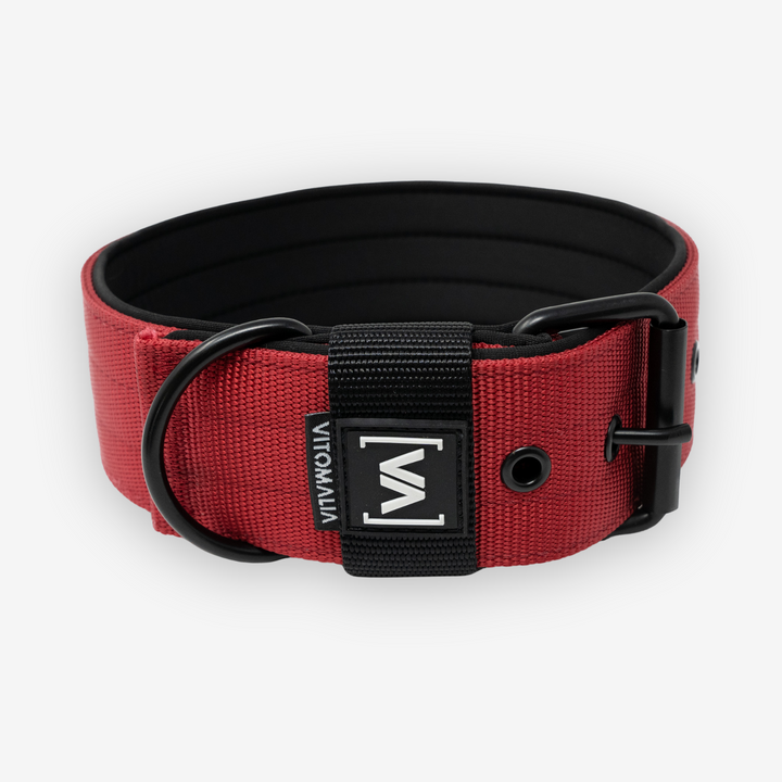 Classic Dog Collar with protruding inner lining - Nero Bordeaux