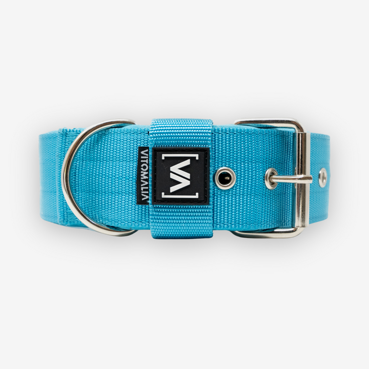 Classic Dog Collar with protruding inner lining - turquoise