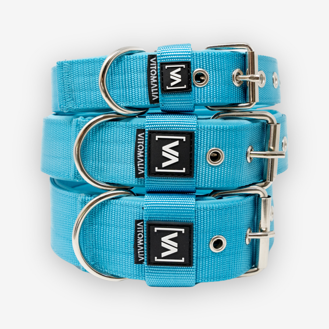 Classic Dog Collar with protruding inner lining - turquoise