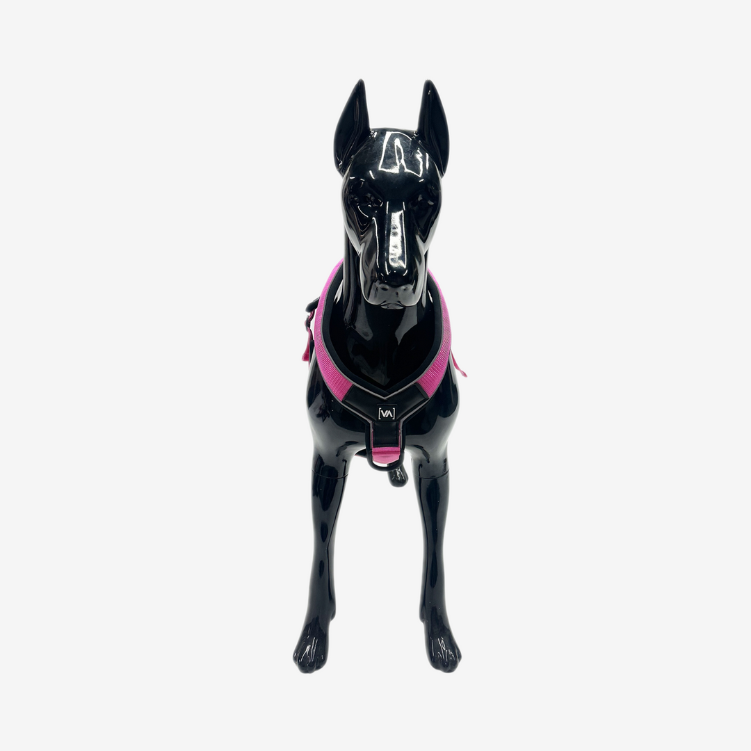 Leichtes Y-Hundegeschirr mit Reflextionsstreifen in Pink - Vitomalia - Easy Go Edition Hundegeschirr